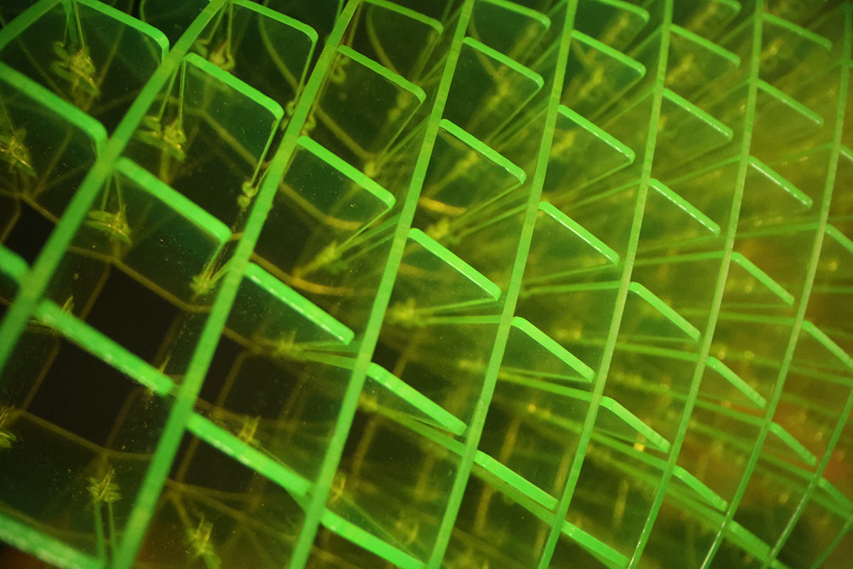 Morf Fidget Worm Green Small