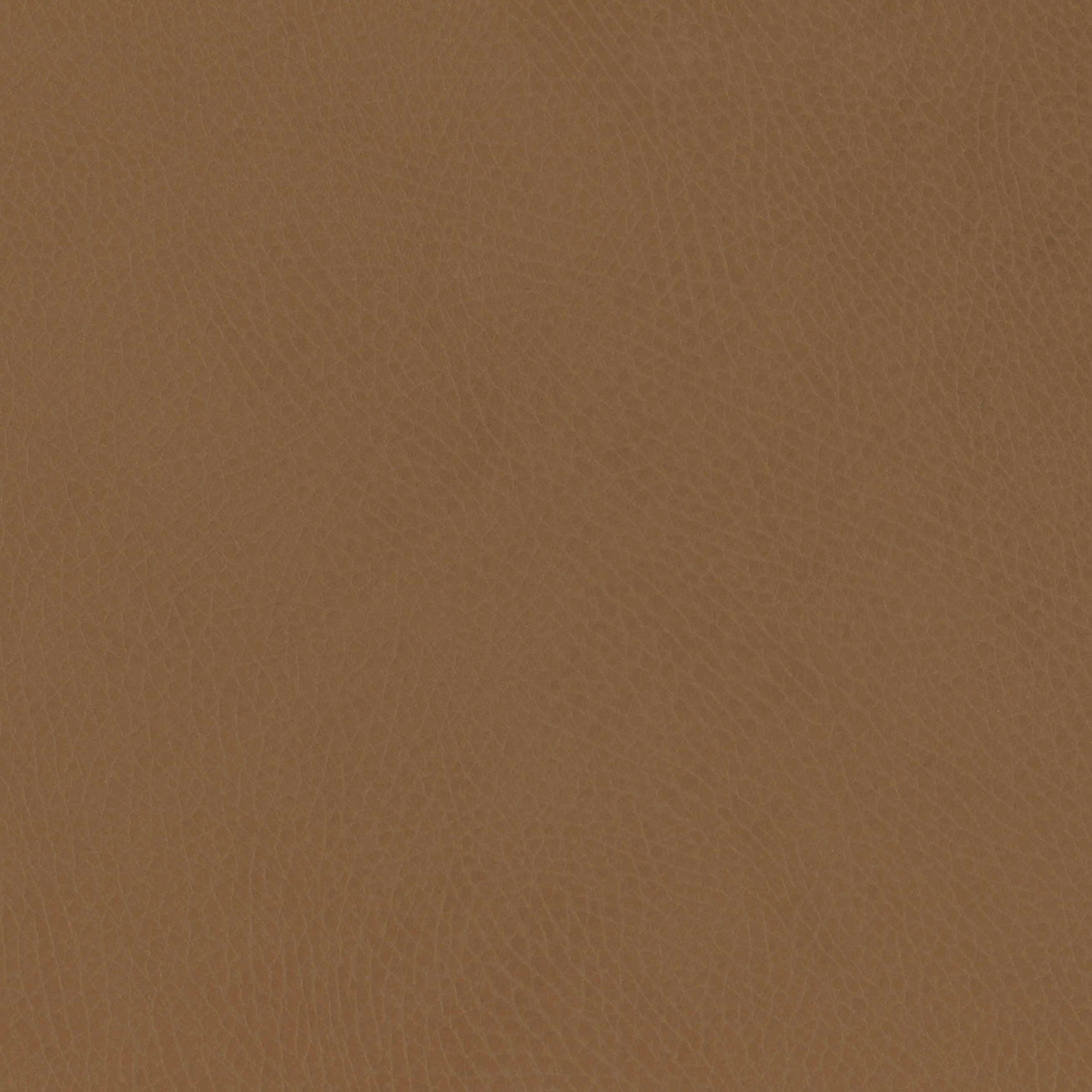 M26834GCLB,Babyletto,babyletto x GATHRE Capsule Bassinet in Camel