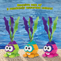 Thin Air Hermit Crab Dive Toy