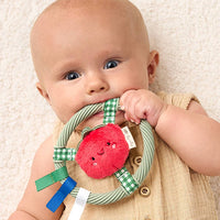 Itzy Ritzy Itzy Ring Pal™ Teething Ring with Plush Character