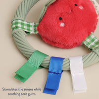 Itzy Ritzy Itzy Ring Pal™ Teething Ring with Plush Character