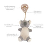 Itzy Ritzy Bitzy Pal Natural Rubber Pacifier & Plush