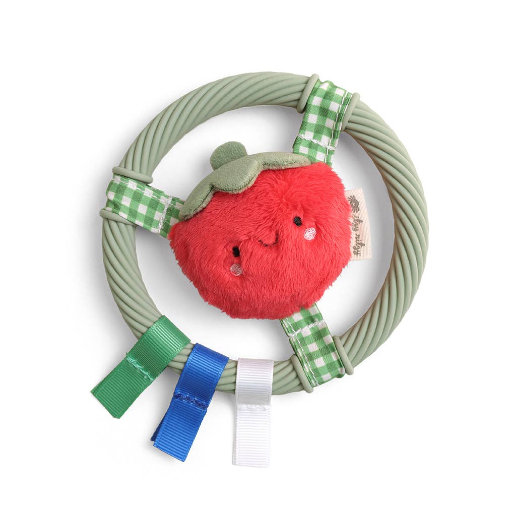 Itzy Ritzy Itzy Ring Pal™ Teething Ring with Plush Character