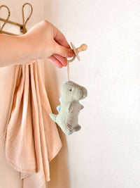 Itzy Ritzy Bitzy Pal Natural Rubber Pacifier & Plush