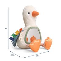 Itzy Ritzy Itzy Bitzy Mirror™ Sensory Tummy Time Mirror | Goose