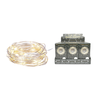DM Merchandising - Lumin Essence Copper Wire Mini Lights