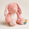 Itzy Ritzy Sweetie Snuggles Plush Pink Bunny