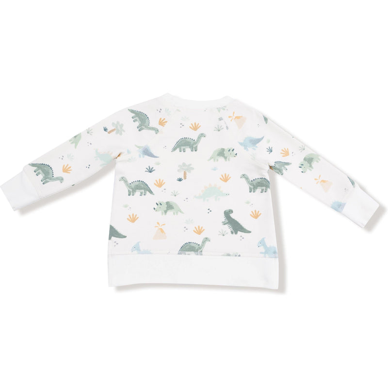 Angel Dear Soft Dinos French Terry Green Raglan Sweatshirt + Jogger Set