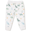 Angel Dear Soft Dinos French Terry Green Raglan Sweatshirt + Jogger Set