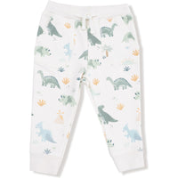Angel Dear Soft Dinos French Terry Green Raglan Sweatshirt + Jogger Set