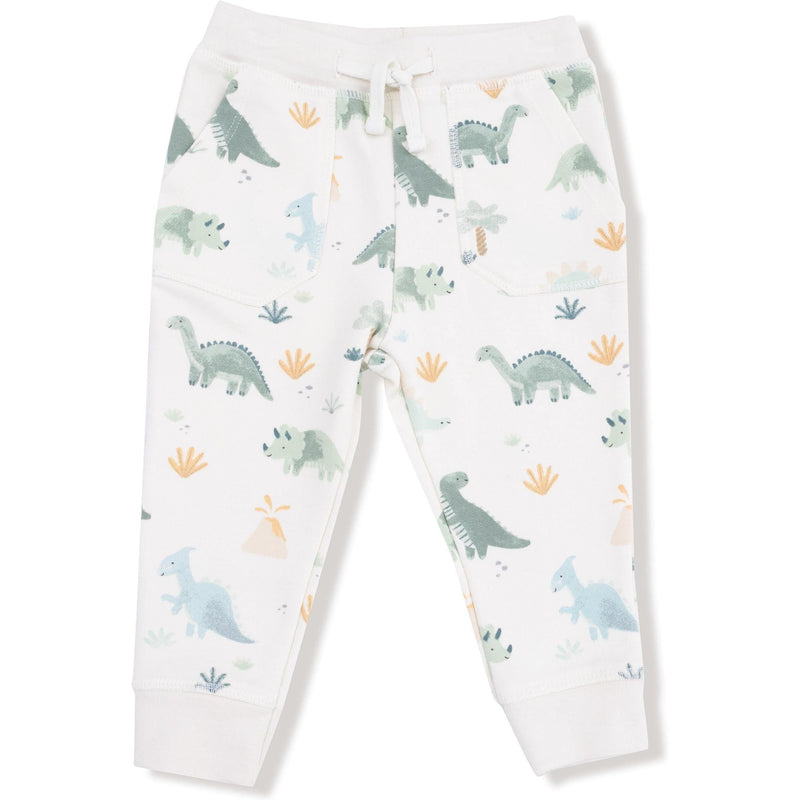 Angel Dear Soft Dinos French Terry Green Raglan Sweatshirt + Jogger Set