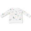 Angel Dear Soft Dinos French Terry Green Raglan Sweatshirt + Jogger Set