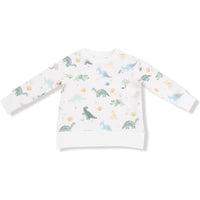 Angel Dear Soft Dinos French Terry Green Raglan Sweatshirt + Jogger Set