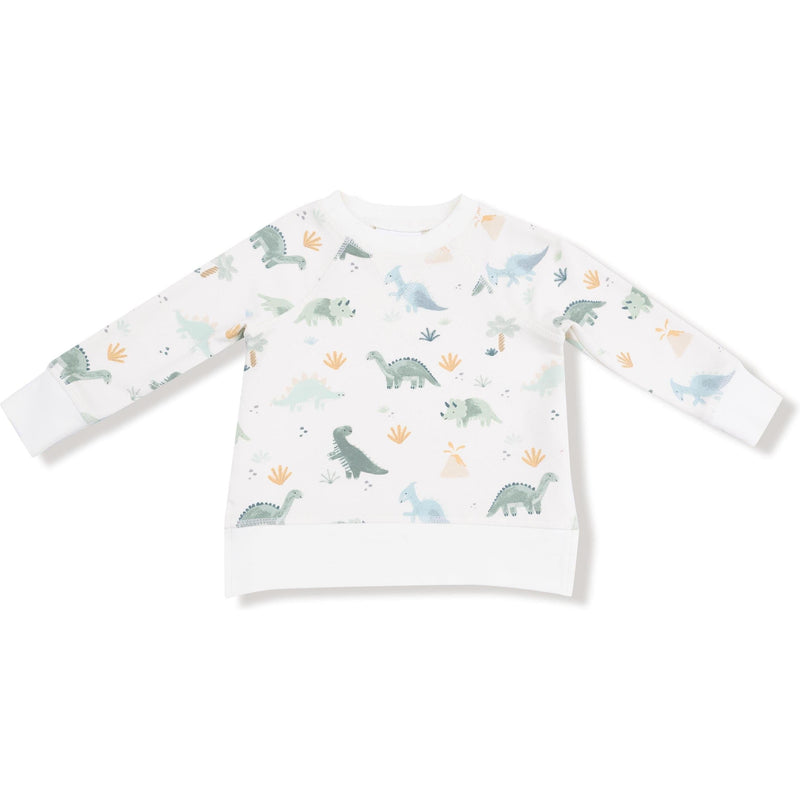 Angel Dear Soft Dinos French Terry Green Raglan Sweatshirt + Jogger Set