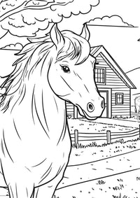 Nova Toys LLC - Farm Friends - XXL Coloring Book