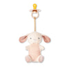 Itzy Ritzy Bitzy Pal Natural Rubber Pacifier & Plush