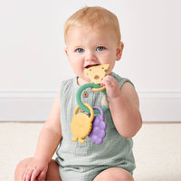 Itzy Ritzy Itzy Trio™ Multi-textured Silicone Teether Charcuterie