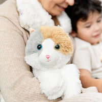 Warmies: America’s Favorite Microwave Plush Brand - Calico Cat Warmies