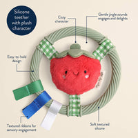 Itzy Ritzy Itzy Ring Pal™ Teething Ring with Plush Character
