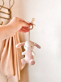 Itzy Ritzy Bitzy Pal Natural Rubber Pacifier & Plush