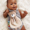 Itzy Ritzy Theo the Bear Itzy Lovey