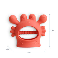 Itzy Ritzy Crab Bitzy Grip™