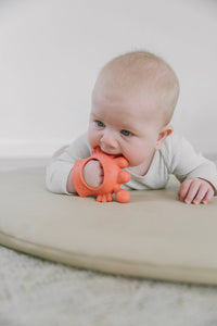 Itzy Ritzy Crab Bitzy Grip™