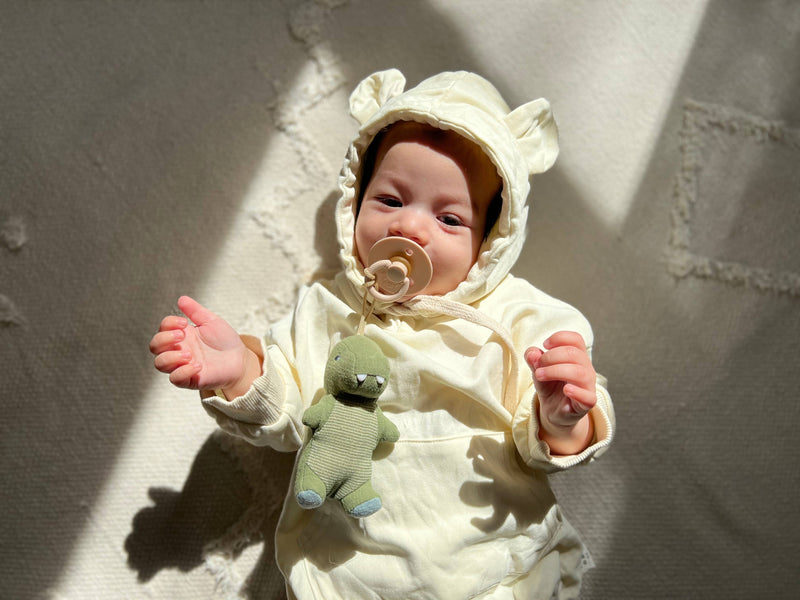 Itzy Ritzy Bitzy Pal Natural Rubber Pacifier & Plush