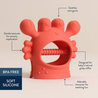 Itzy Ritzy Crab Bitzy Grip™