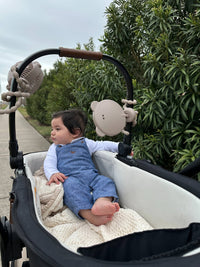 Itzy Ritzy Itzy Peek Stroller Mirror