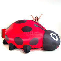 AirFort Ladybug