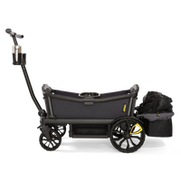 Veer Cruiser City Foldable Storage Basket