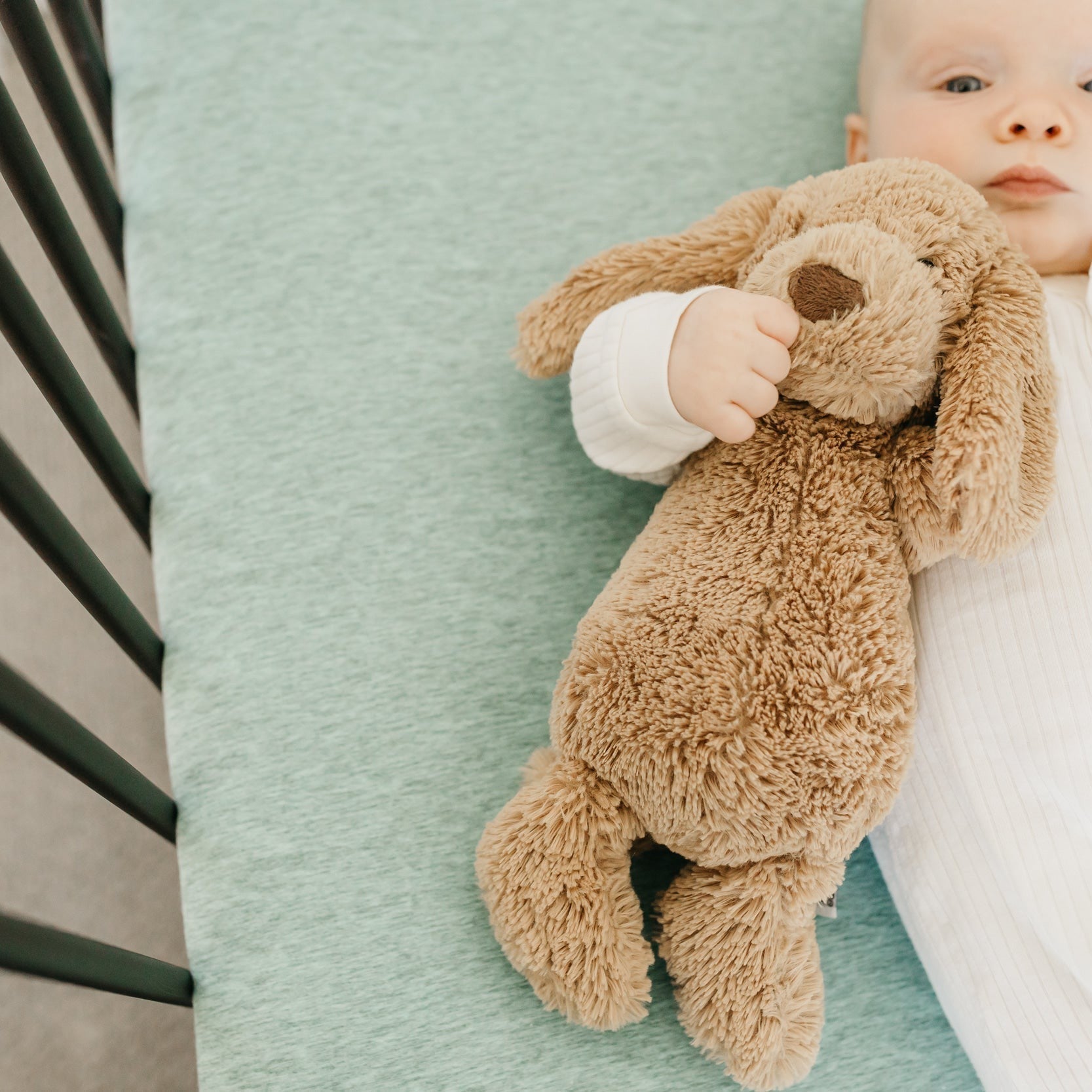 Copper Pearl Premium Knit Fitted Crib Sheet | Emerson