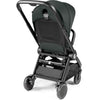 Peg Perego City Loop Seat