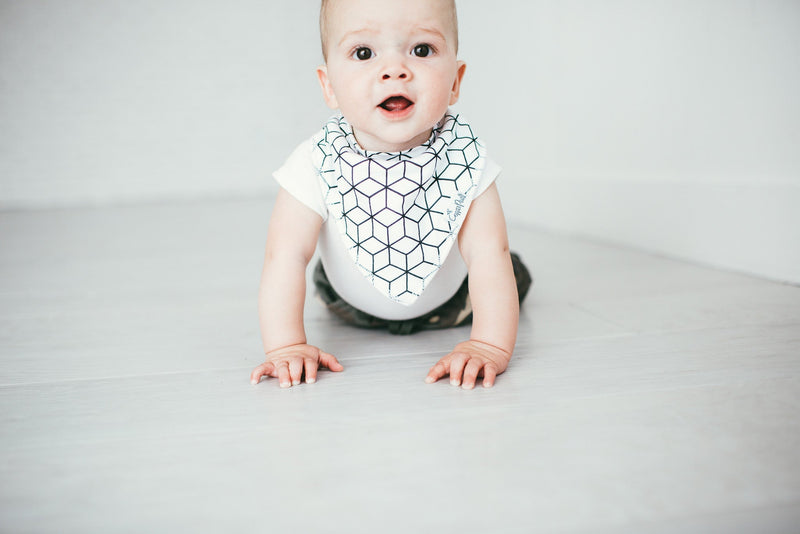 Copper Pearl Baby Bandana Bibs | Wild