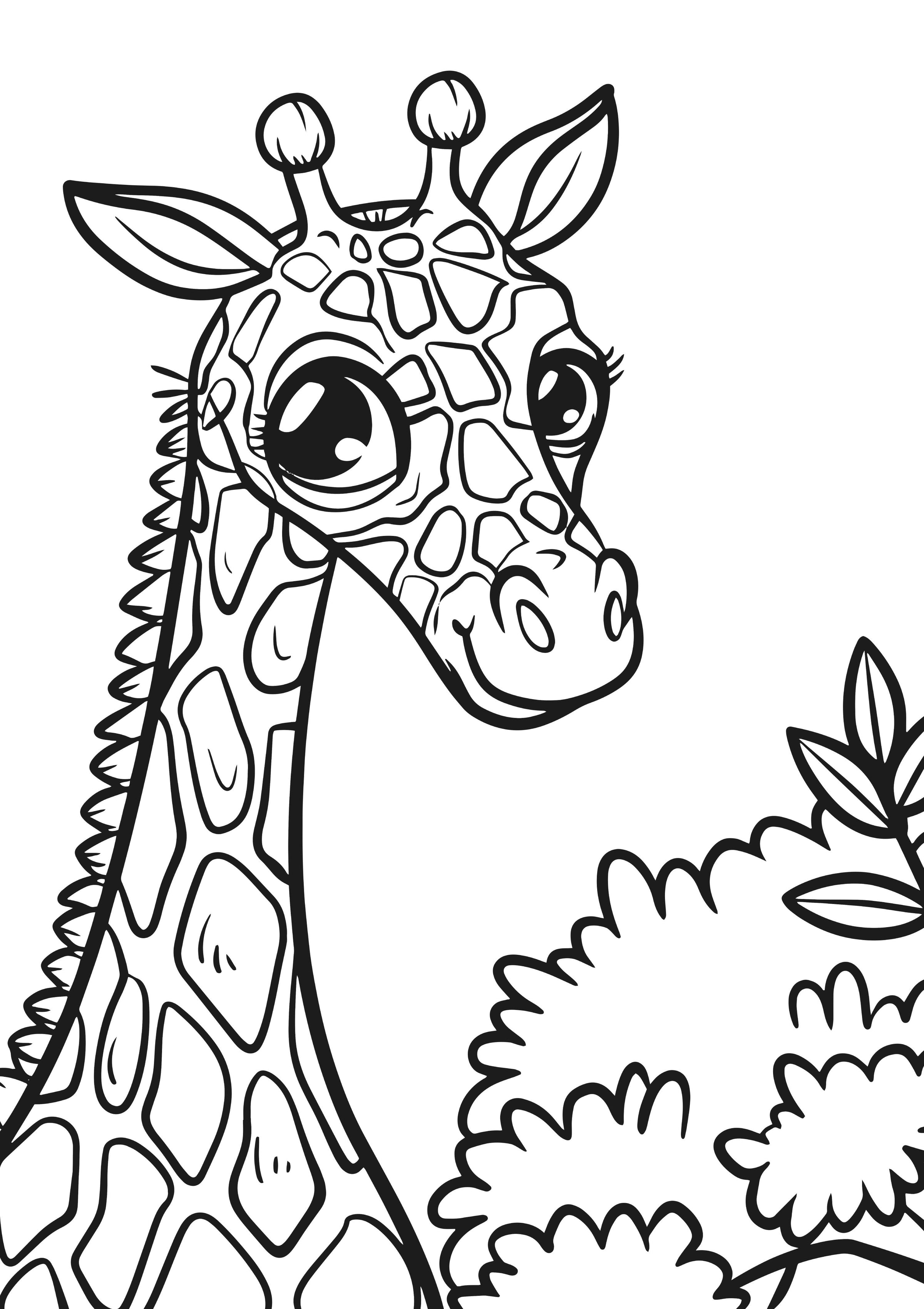 Nova Toys Animal Kingdom XXL Coloring Book