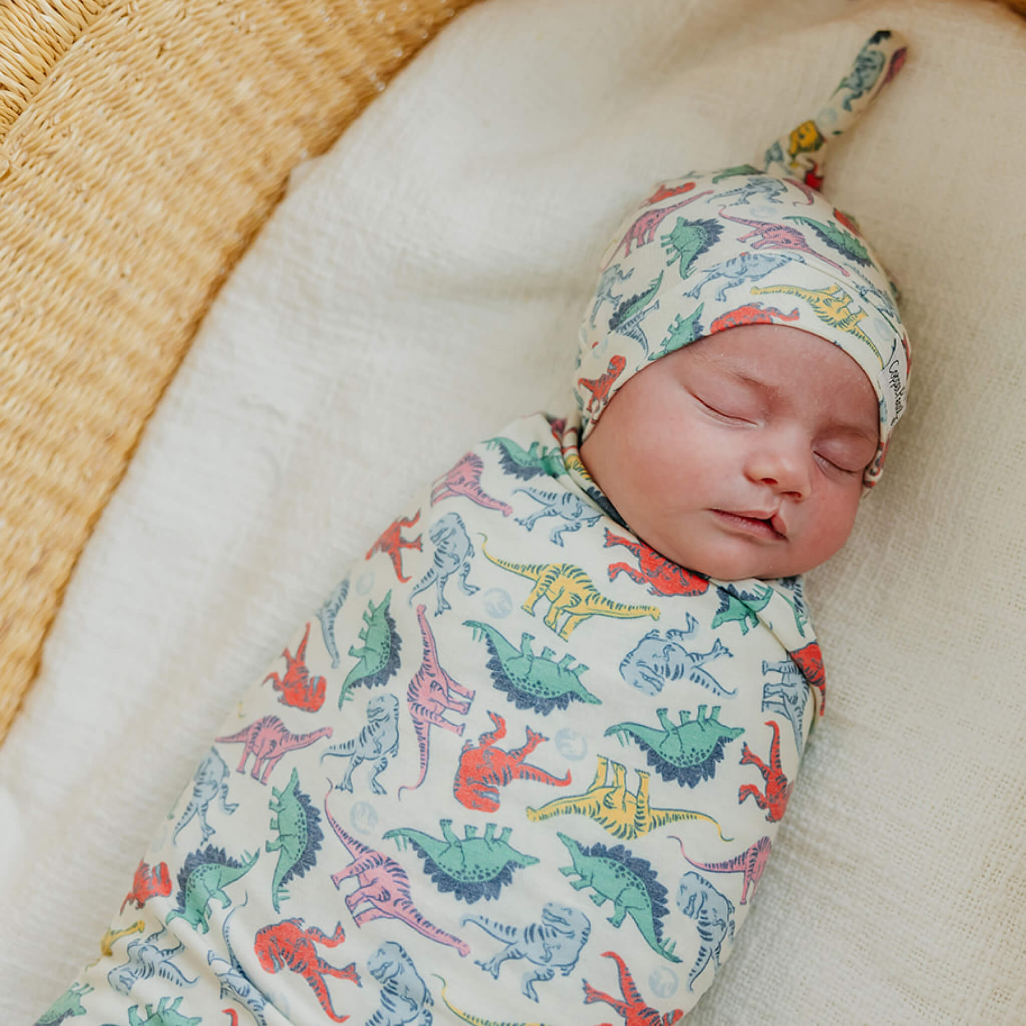 Copper Pearl Knit Swaddle Blanket | Dinosaurs of Jurassic Park