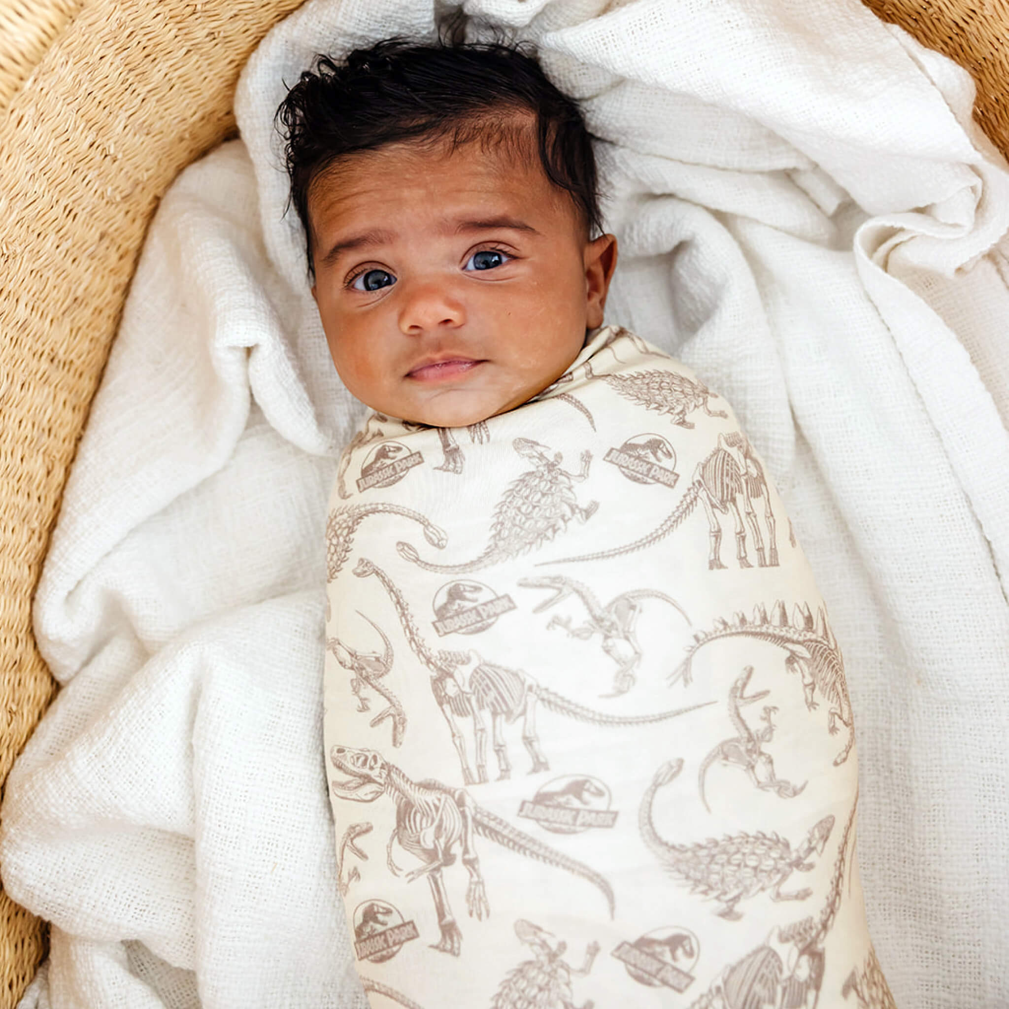 Copper Pearl Knit Swaddle Blanket | Jurassic Park Fossils