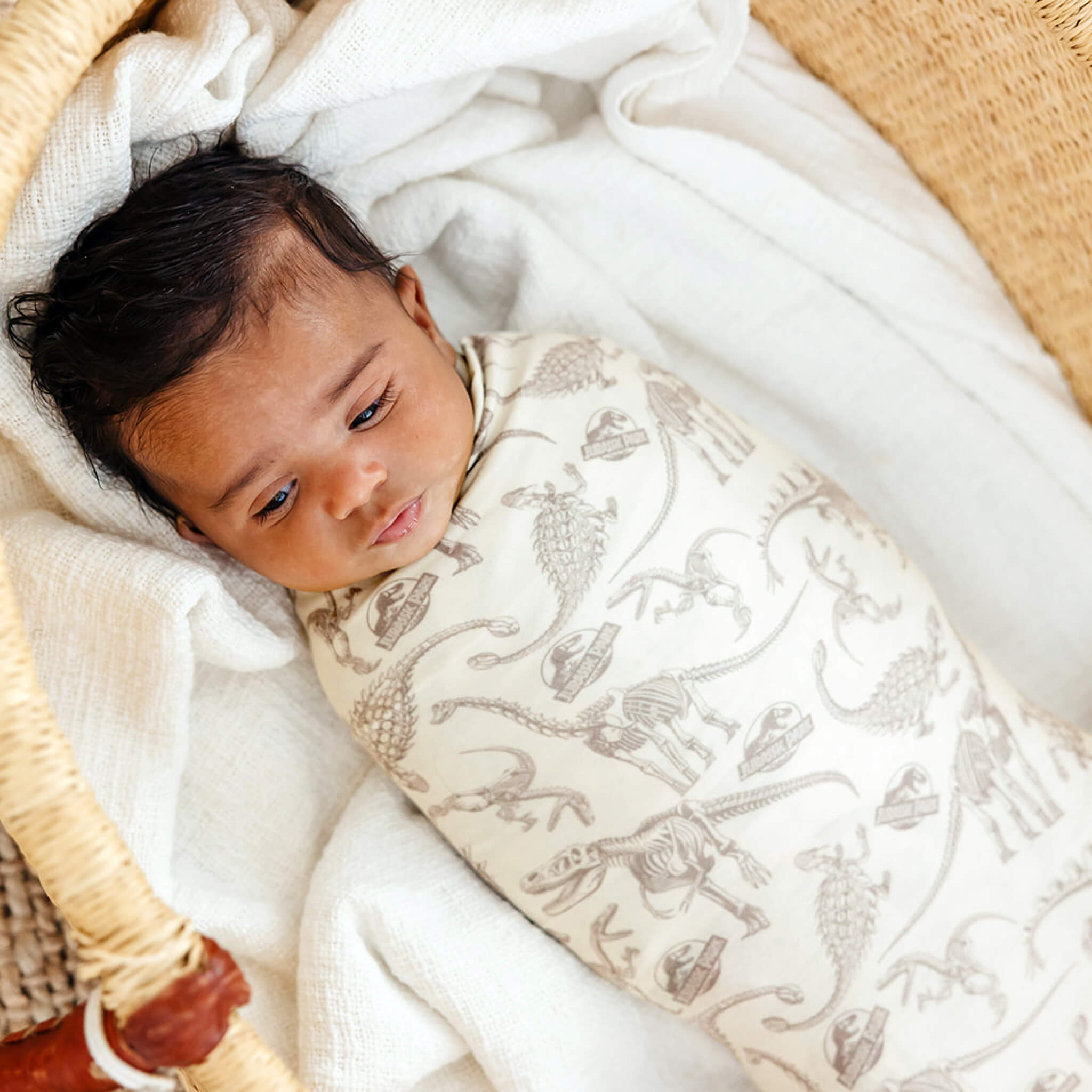 Copper Pearl Knit Swaddle Blanket | Jurassic Park Fossils