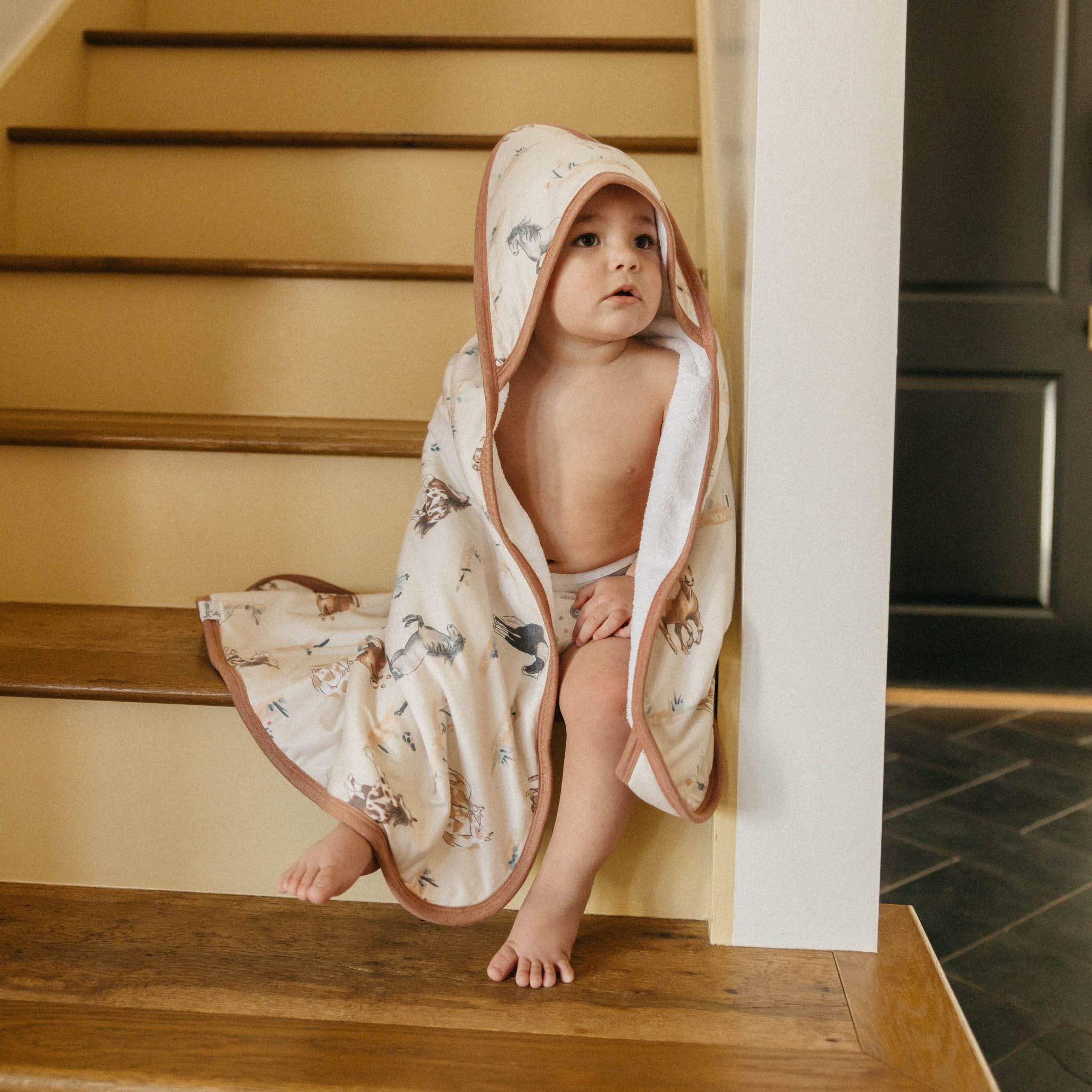 Copper Pearl Premium Baby Knit Hooded Towel | Montana