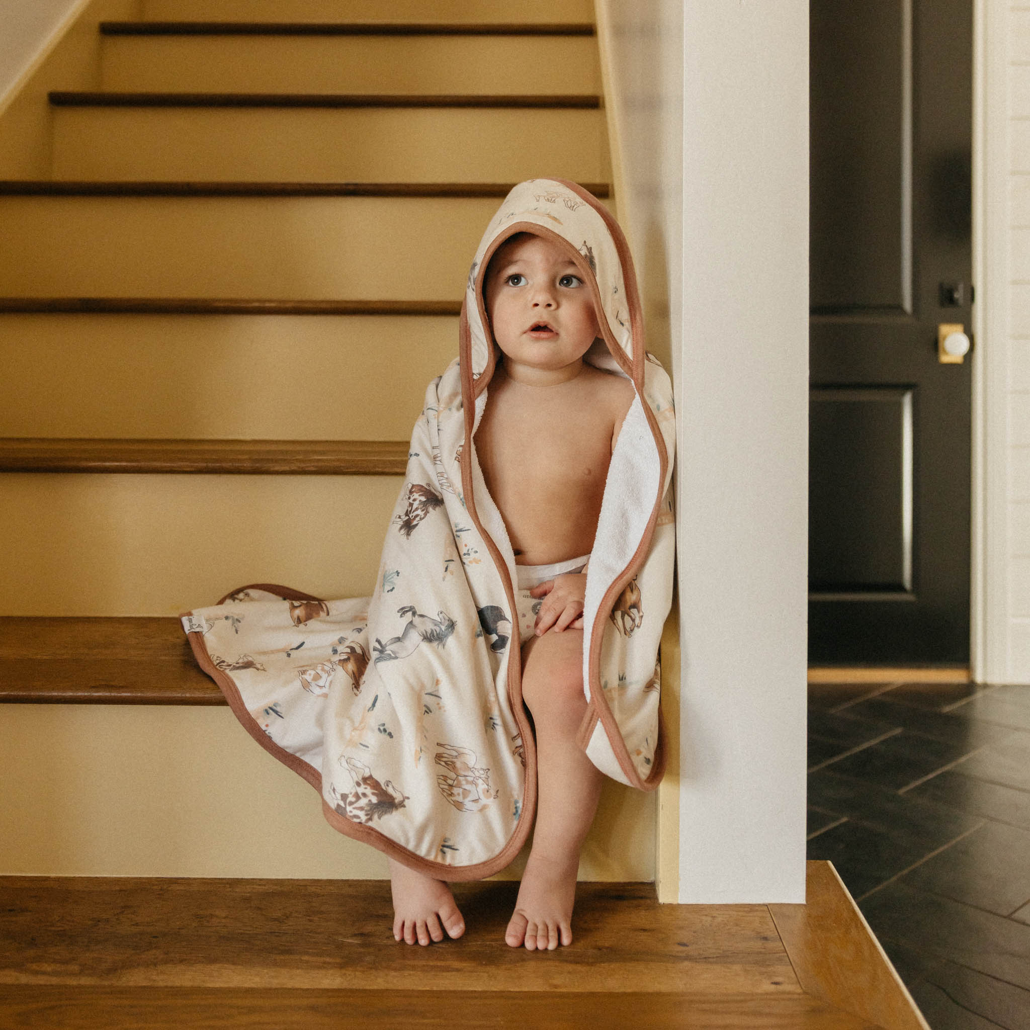Copper Pearl Premium Baby Knit Hooded Towel | Montana