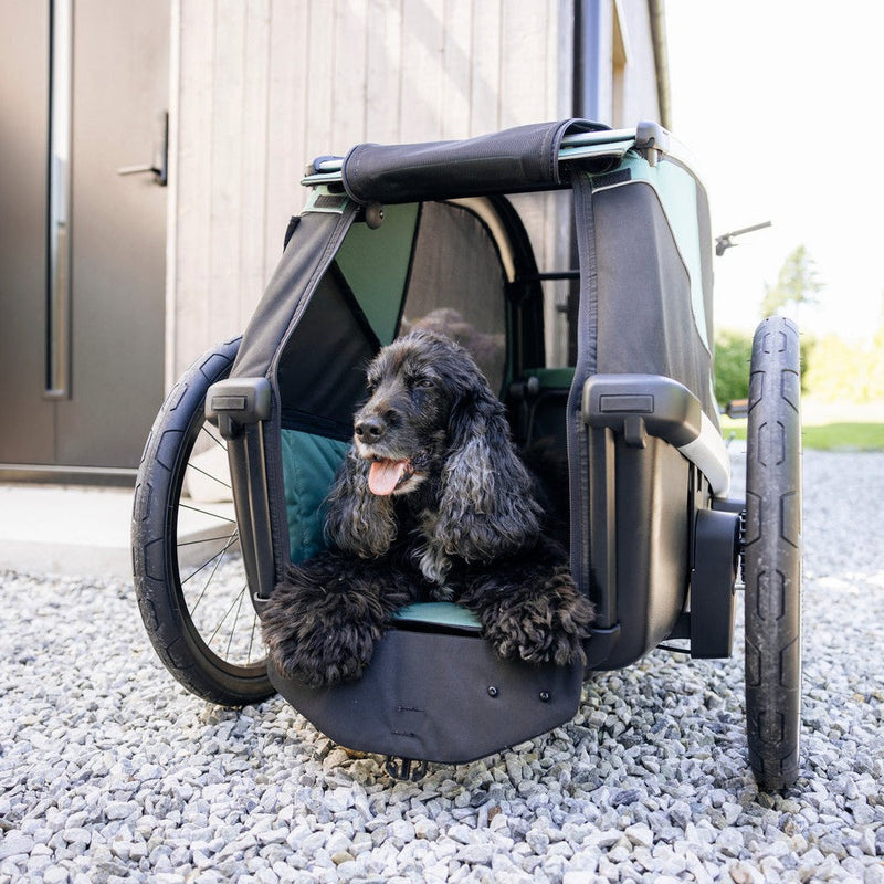 Thule Bexey Dog Bike Trailer