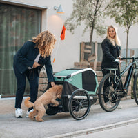 Thule Bexey Dog Bike Trailer