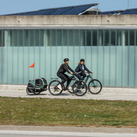 Thule Bexey Dog Bike Trailer