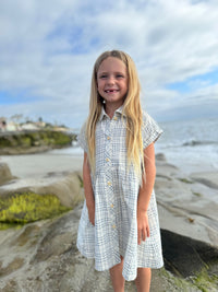 Vignette Heather Dress | Blue Plaid Seersucker