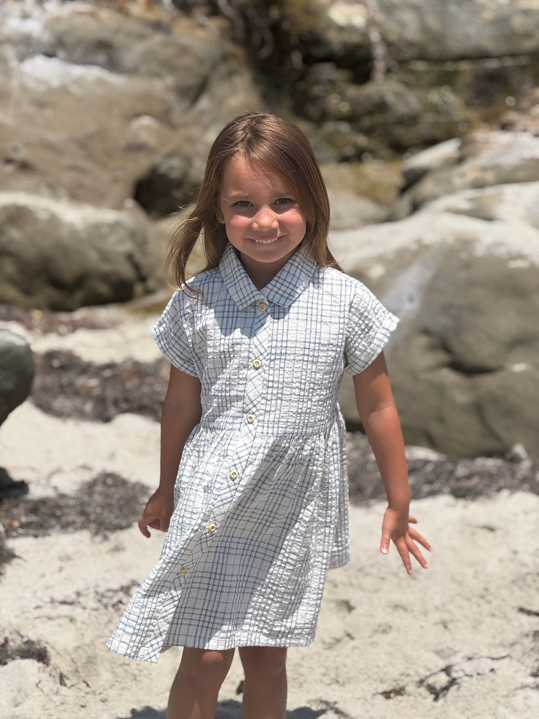 Vignette Heather Dress | Blue Plaid Seersucker