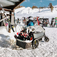 Veer Cruiser + FREE Foldable Storage Basket!