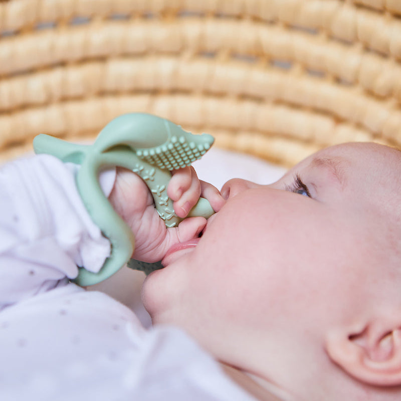 B.Box Wrist Teether | Sage