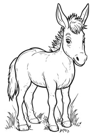 Nova Toys Farm Friends XXL Coloring Book