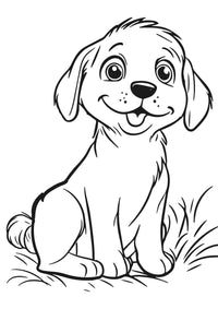 Nova Toys Farm Friends XXL Coloring Book